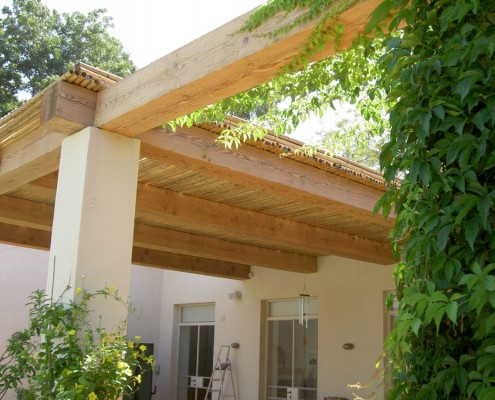 פרגולה מחוץ לבית עם צמחיה פרגולה מחוץ לבית עם צמחיה