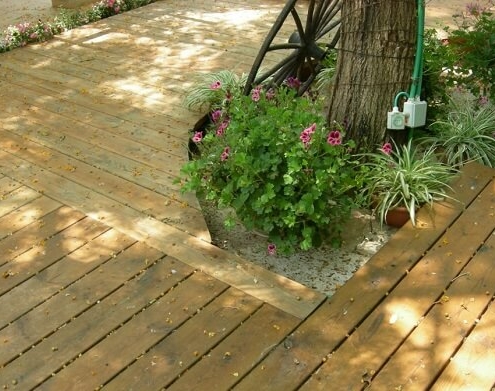 דק מעץ אורן ופרחים דק מעץ אורן ופרחים