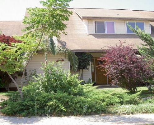 wood-private-house בית עץ עם צמחיה