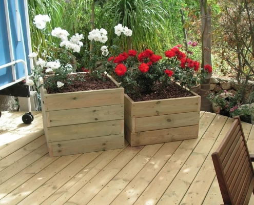 ערוגה מדק ערוגה מדק