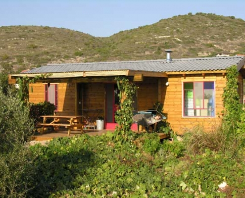 אורי שטיינמיץ